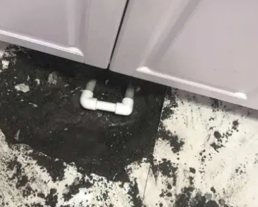 拉孜查漏水哪家好